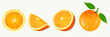 Orange with sprig and sliced oranges on white background