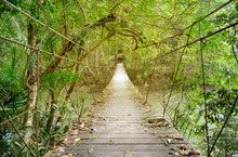 Old Wooden Suspension Bridge With Rope For Walking Across River In The Rainforest Of Khao Yai National Park. Thailand. 