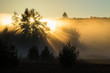 Sunrise, Rays, Trees and Mist - Mew Lake abandoned airfield, Algonquin Park, Ontario, Canada