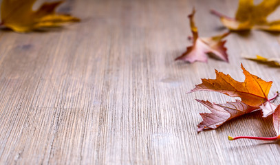 Wall Mural - Autumn. Seasonal photo. Autumn leaves loose on a wooden board. Free space for your text products and informations.