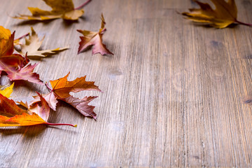 Wall Mural - Autumn. Seasonal photo. Autumn leaves loose on a wooden board. Free space for your text products and informations.