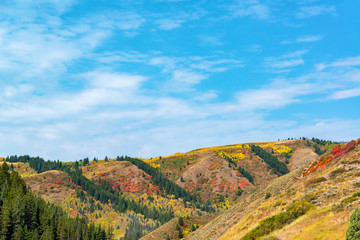 Wall Mural - Beautiful Colorful Hills