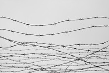 Fencing. Fence With Barbed Wire. Let. Jail. Thorns. Block. A Prisoner. Holocaust. Concentration Camp. Prisoners. Depressive Background.