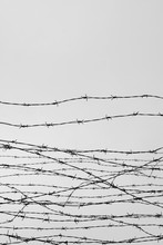Fencing. Fence With Barbed Wire. Let. Jail. Thorns. Block. A Prisoner. Holocaust. Concentration Camp. Prisoners. Depressive Background.