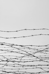 Fencing. Fence with barbed wire. Let. Jail. Thorns. Block. A prisoner. Holocaust. Concentration camp. Prisoners. Depressive background.