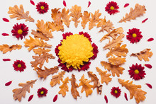 Dry Leaves In The Shape Of A Circle With Red And Yellow Flowers