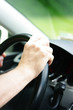 © Wellnhofer Designs - Hand am Lenkrad