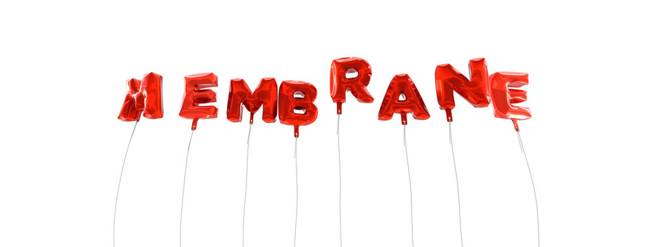 MEMBRANE - word made from red foil balloons - 3D rendered.  Can be used for an online banner ad or a print postcard.