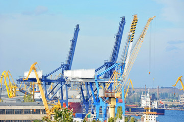 Port cargo crane