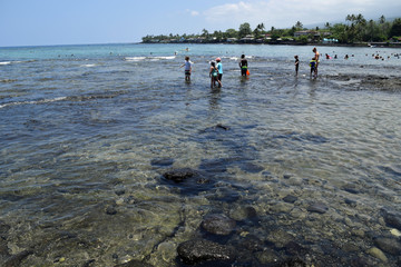 the sheltered clear waters at Kahaluu Beach Park, Big Island Hawaii