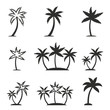 © lovemask - Palm tree icon set.