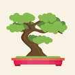 Vector illustration of bonsai tree