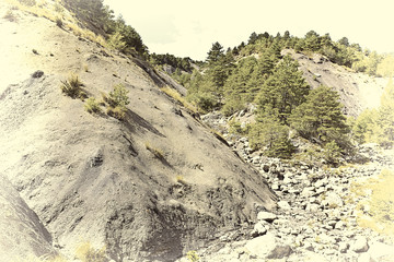 Canvas Print - Canyon in Alps