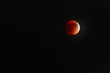 Image of Red Blood Moon
