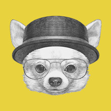 Portrait Of Chihuahua With Glasses And Hat. Hand Drawn Illustration.