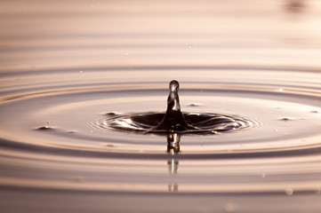 Water Droplet Falling Into A Pond