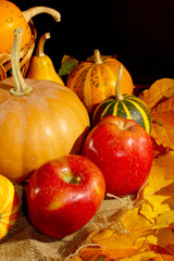 Wall Mural - Pumpkins and apples picture