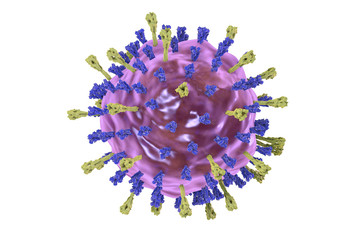 Poster - Mumps virus. 3D illustration showing structure of mumps virus with surface glycoprotein spikes heamagglutinin-neuraminidase and fusion protein