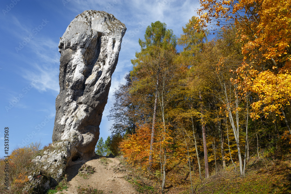 Rock called Maczuga Herkulesa in Pieskowa Skala.Poland - obrazy, fototapety, plakaty 