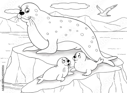 At The Zoo Arctic Animals A Cute Mother Seal And Her Babies