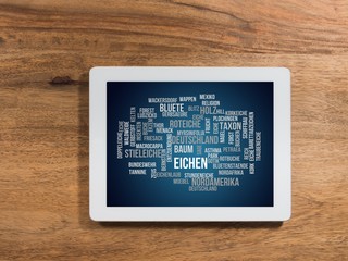 Canvas Print - Eichen