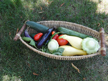 Summer Bounty - Fresh Vegetables