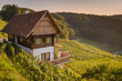 Vineyards with winery in autumn - White wine grapes before harvest, and typical architecture of Southern Styria Austria