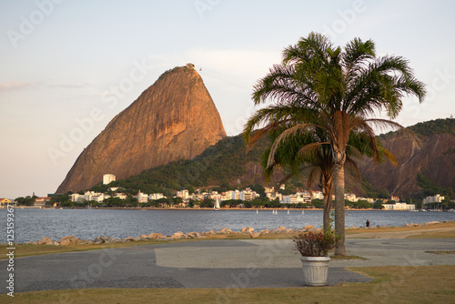 Coqueiro Na Praia Do Flamengo Com Pao De Acucar Ao Fundo Buy This Stock Photo And Explore Similar Images At Adobe Stock Adobe Stock