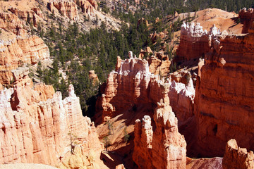 Wall Mural - Elaborately eroded pinnacles and hoodoos