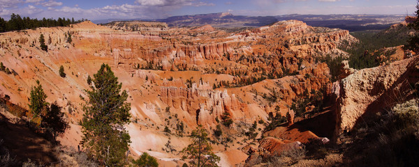 Wall Mural - Late afternoon light colors the sandstone pinnacles