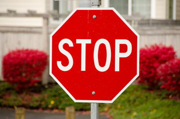Wall Mural - Stop sign and burning bushes