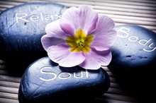 Healing Stones With Soul, Body And Relax Like A Concept For Wellness And Mindfulness 