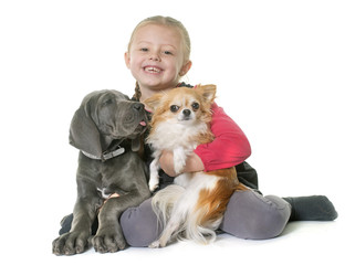 Wall Mural - puppy great dane and child