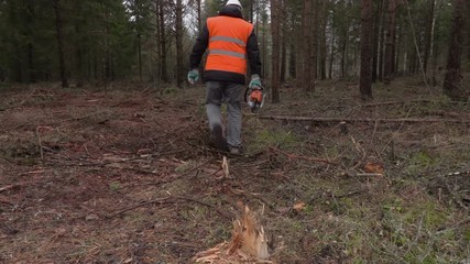 Poster - Lumberjack with chainsaw walking through forest