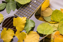 Guitar In Autumn Leafs