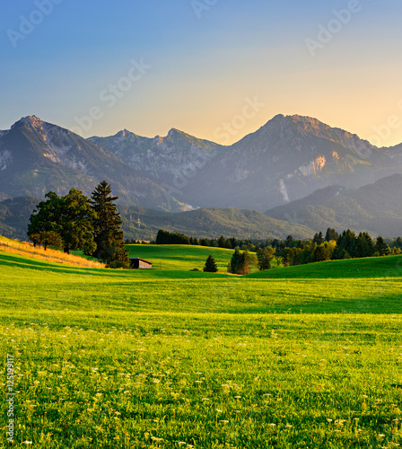 Plissee mit Motiv - Typische Landschaft im Allgäu, grüne Wiesen und Berge im Abendlicht, hinten die Alpen (von AVTG)