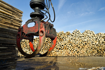 Heavy lifting crane loading cut wooden logs 