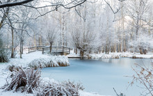 Winter Scene At Botanical Garden