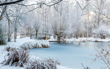 Winter scene at botanical garden