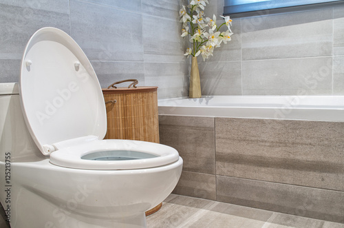 Fotomural Modern bathroom in luxury house