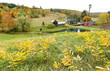 Overlooking a peaceful New England Farm in the autumn, Woodstock, Vermont, USA