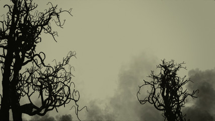 Wall Mural - Silhouette of bare tree  halloween horror background