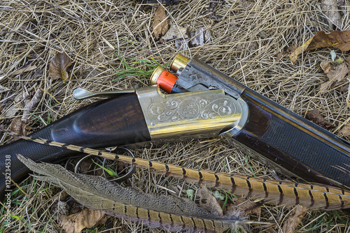 Zdjęcie XXL Polowanie pistolet, bażantów piórka na suchej trawy zakończeniu up