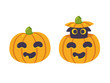 © sudowoodo - Halloween pumpkin with cat