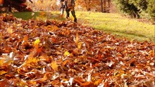Leaf Blower In Action Blowing Fallen Leaves Into A Pile In Front Of Camera