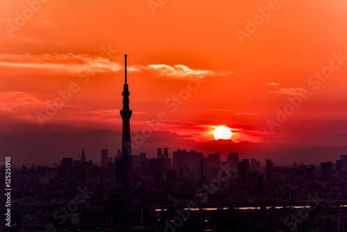 夕日に映える東京スカイツリーと東京の高層ビルのシルエット Stock 写真 Adobe Stock