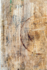 Wall Mural - Texture of wood background closeup