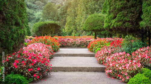 Natural garden views