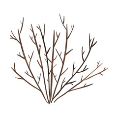 vector single bare brown bush