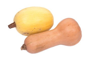 Amish farm spaghetii and butternut squash isolated on white background